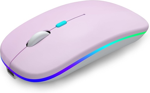 SOURIS WIFI RECHAGABLE & BLEUTOOTH